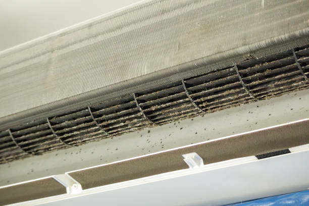 Best Commercial Air Duct Cleaning  in Milton, GA